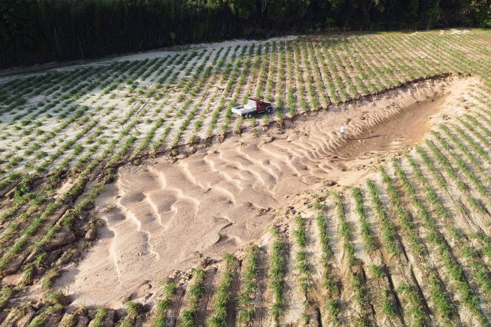  Calleja farm South Johnstone flood damage2 