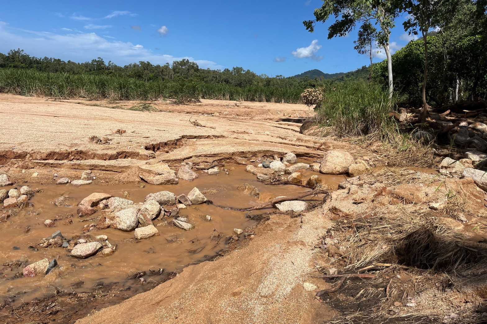  Silt covers a cane block 