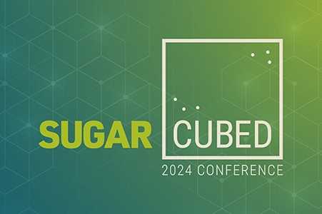  Sugar Cubed digital assets Email header 