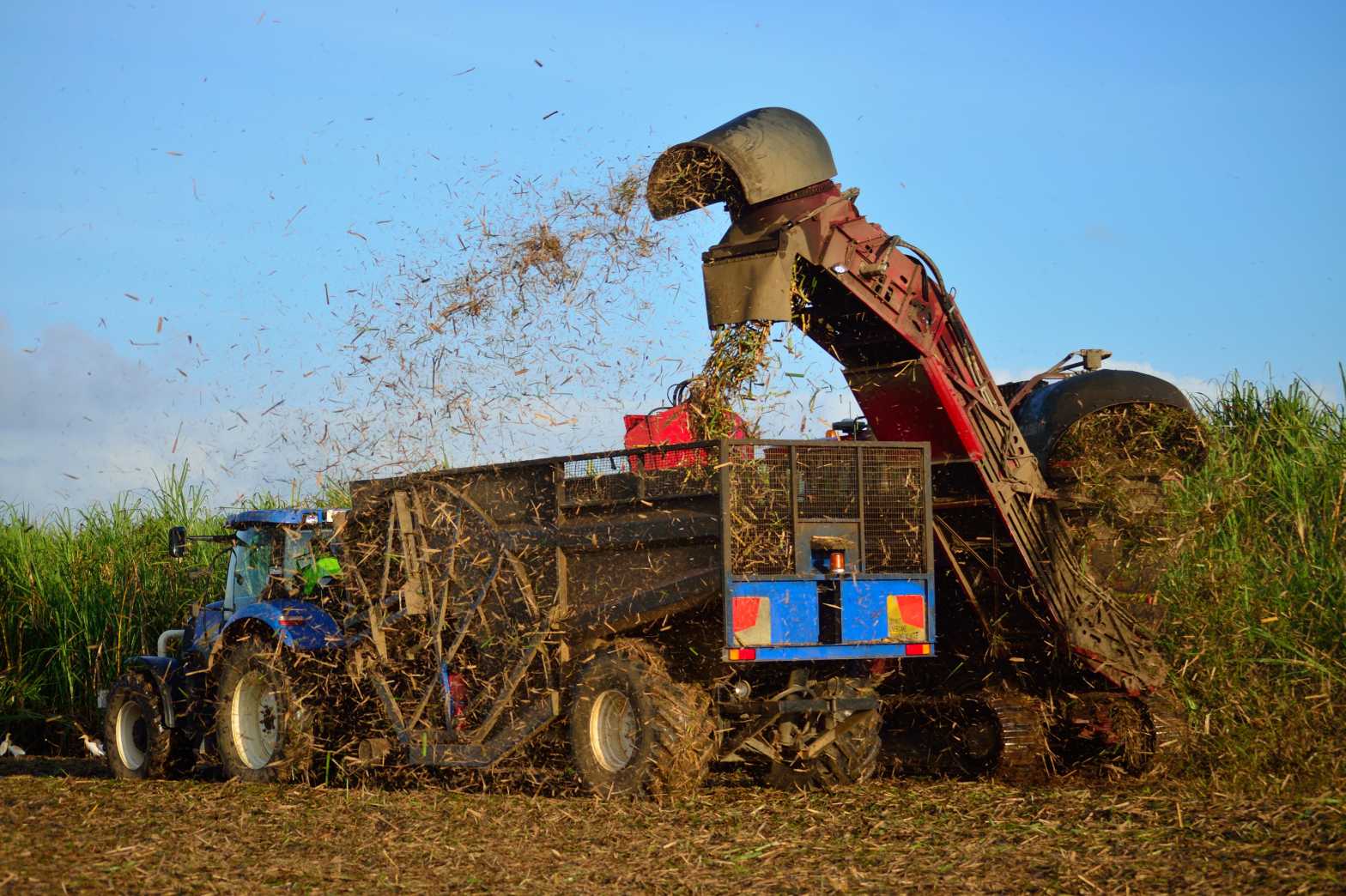  Harvesting at Sundown 9 