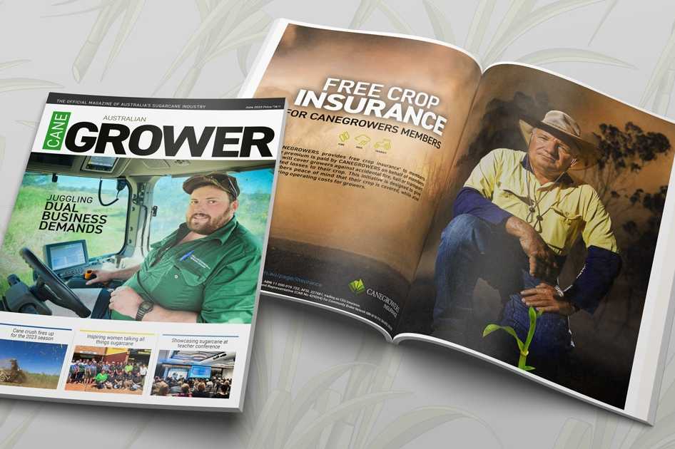  CANEGROWER Magazine In situ 2023 JUNE 